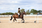 SBM_15786