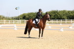 SBM_003391