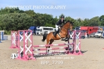 CLASS 1 CLEAR ROUNDS portfolio