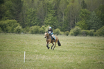 BVHT 140517  NXC -225