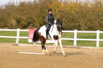 SBM_001698