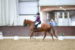 SBM_003269