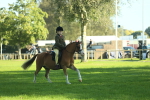 SBM_36334