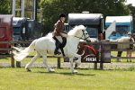 SBM_07065