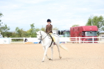 SBM_18311