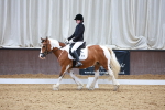 SBM_006300