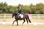 SBM_002938