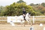 SBM_003591