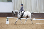 SBM_000697