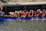 THE YORK ROTARY DRAGON BOAT CHALLENGE 2026 - 263 of 426