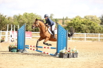 SBM_006430