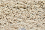 230630A-142108-02540