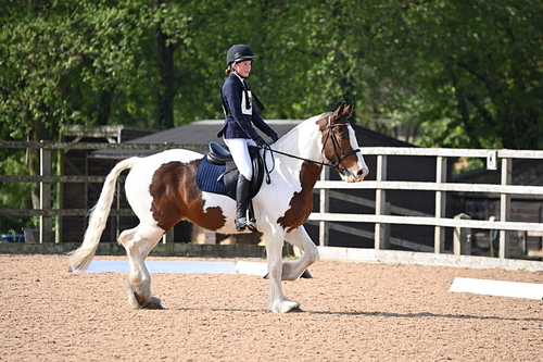 WJ6_6753