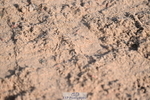 231015A-111454-07617