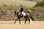 SBM_009963