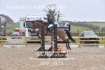BPP_4511