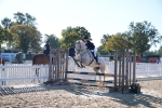 SBM_15957