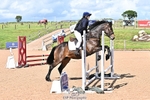Clear Round and 60cm portfolio