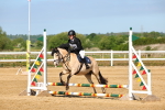 SBM_006740