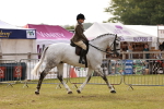 SBM_10847