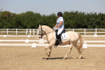 SBM_004953