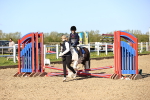 SBM_000268