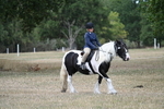 WJ7_4663