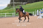 BPP_3538