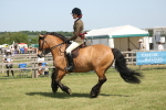 SBM_07697