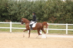 SBM_02074
