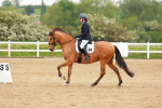SBM_005327