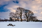 Virgin snow