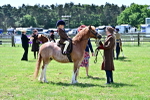 SBM_05841
