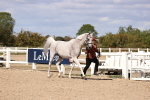 SBM_14373