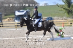 BPP_9678