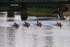 DRAGON BOAT RACE 10 July 2016 - 16 of 549