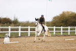 SBM_001836