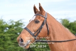 BPP_6834
