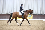 SBM_004517