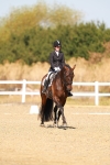 SBM_017703