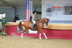 SBM_06010
