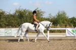 SBM_02195
