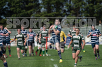 Guernsey v Westcombe Park-3