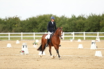 Class 13 - Novice 23 - 14.27-15.16 portfolio