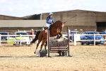 SBM_003313