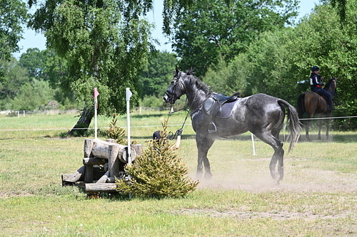 WJ7_3850