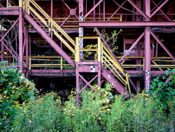 Carrie Furnaces (Rankin, PA) | a force of nature