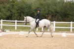 SBM_00784