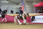SBM_24538