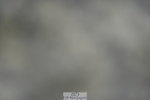 230909-184532-08379